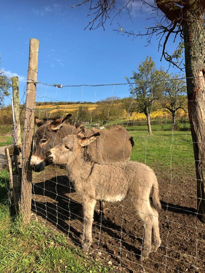 Chez Le Vigneron *