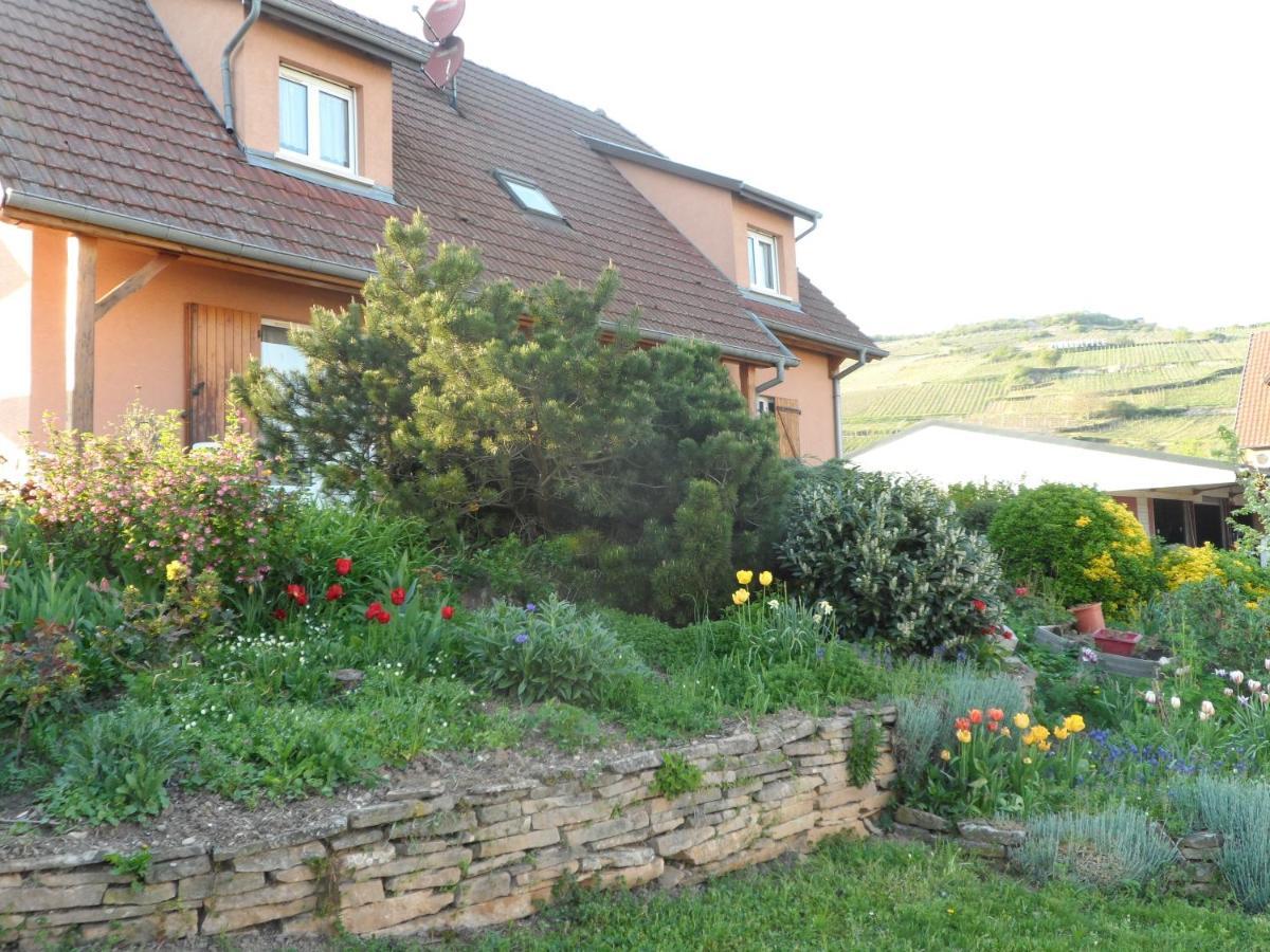 Chez Le Vigneron Apartment Westhalten