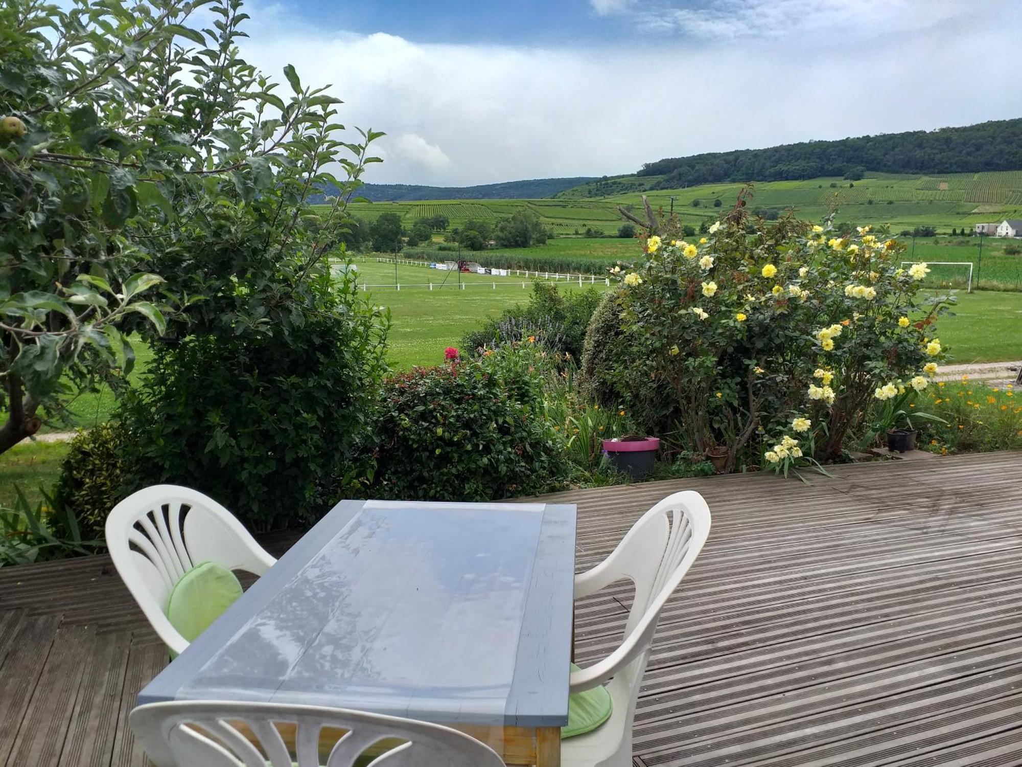 Chez Le Vigneron * Westhalten